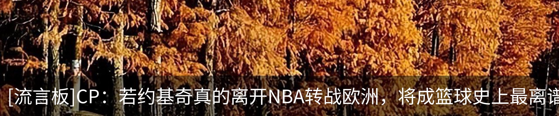 新闻动态
